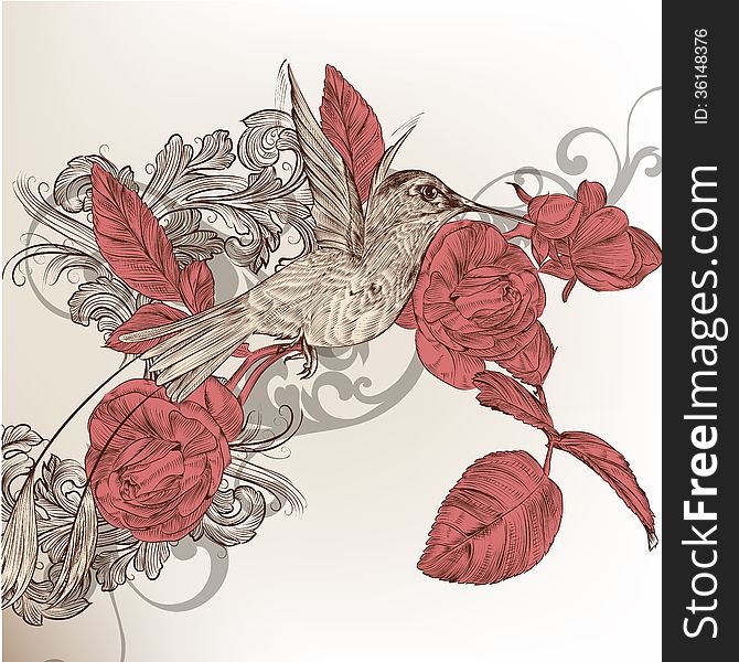 Fashion floral background with humming bird and roses