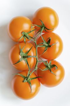 Tomatoes On White Stock Image Tomatoes On White Stock Image