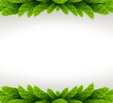 Christmas Frame With Fir Tree. Royalty Free Stock Photo Christmas Frame With Fir Tree. Royalty Free Stock Photo