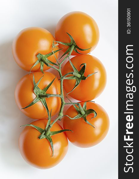 Fresh juicy orange tomatoes branch on white background. Fresh juicy orange tomatoes branch on white background