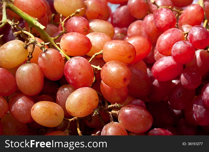 Group of red and purple grape. Group of red and purple grape