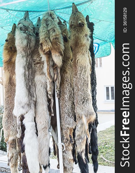 Fox skins to dry in a street market