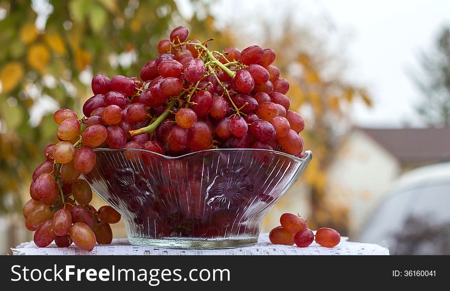 Big glass bowl of juicy red grapes set in outdoor background. Big glass bowl of juicy red grapes set in outdoor background