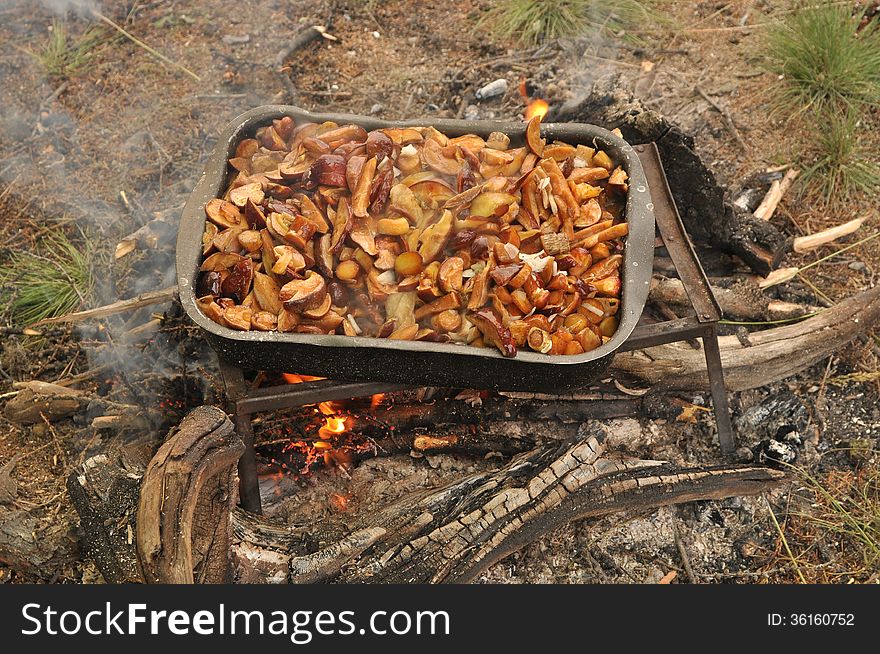 Fried mushrooms. The pan with yellow boletus stands on a stand over the fire.