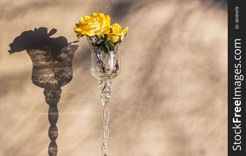 Yellow rose sitting in a wineglass vase producing a shadow on a tan coloured wall. Yellow rose sitting in a wineglass vase producing a shadow on a tan coloured wall