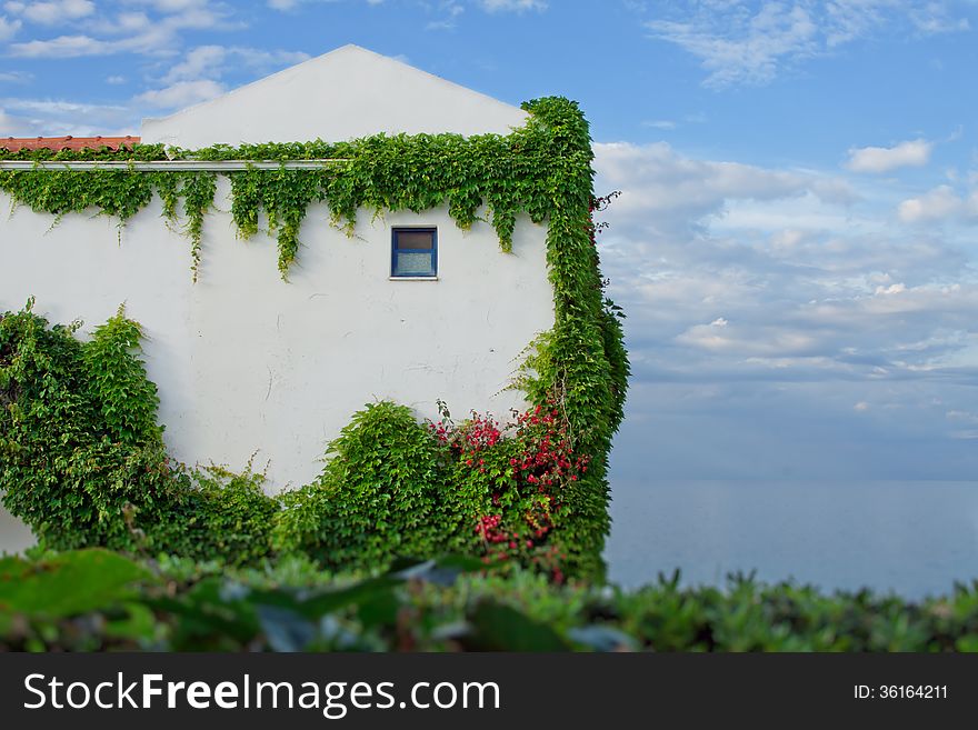 Hotel in Greece, overgrown with ivy