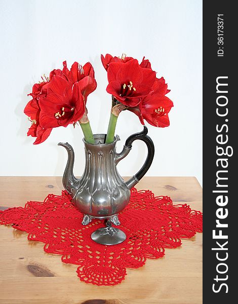 Pewter can with red Amaryllis