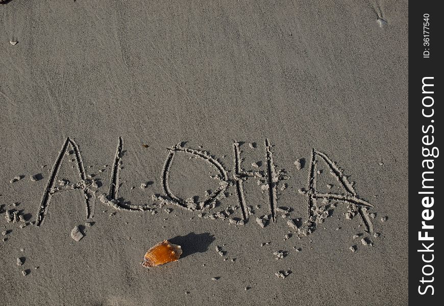 Aloha on the beach with a lonely shell.