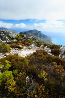 Rock And Landscape On Top Of Table Mountain Stock Images