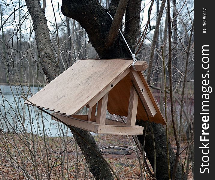 The wild birds feeder, hanging on a tree, against a path and a pond