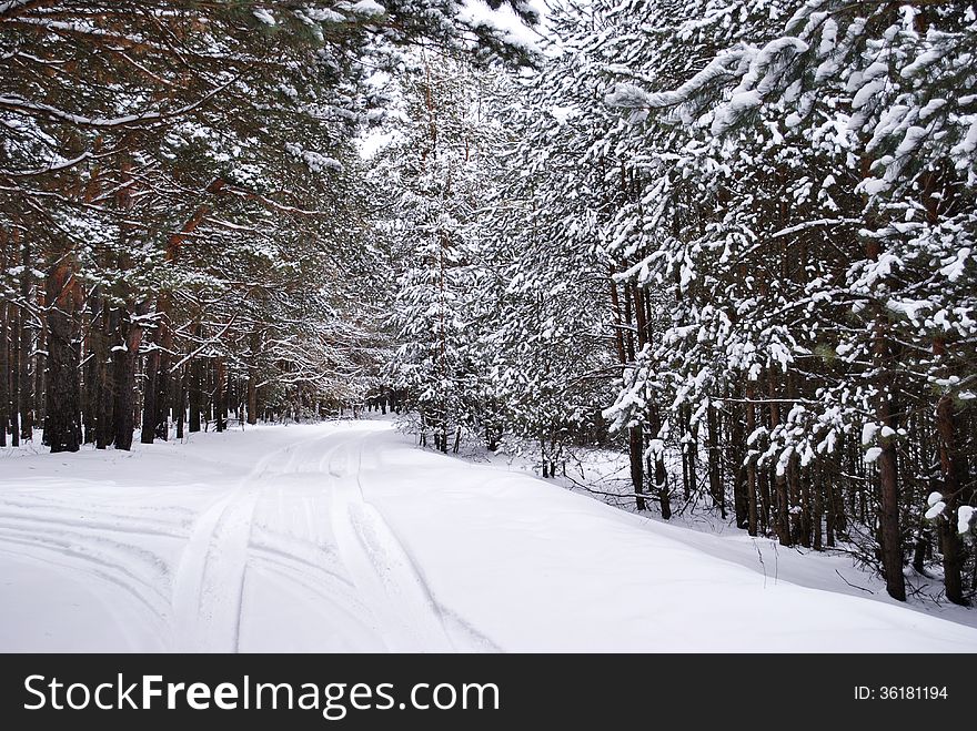 Road in winter snow-covered forest. Road in winter snow-covered forest.
