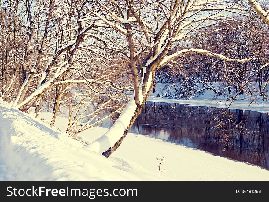 River and trees in winter covered with snow. River and trees in winter covered with snow.