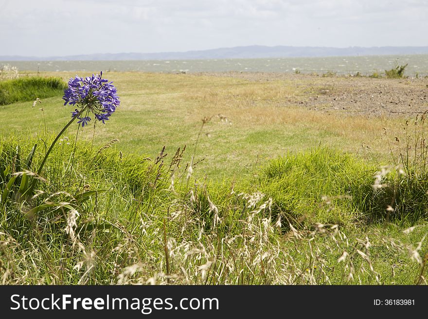 Image of the coastline in Tapu, Coromandel, New Zealand - travel and tourism. Image of the coastline in Tapu, Coromandel, New Zealand - travel and tourism.