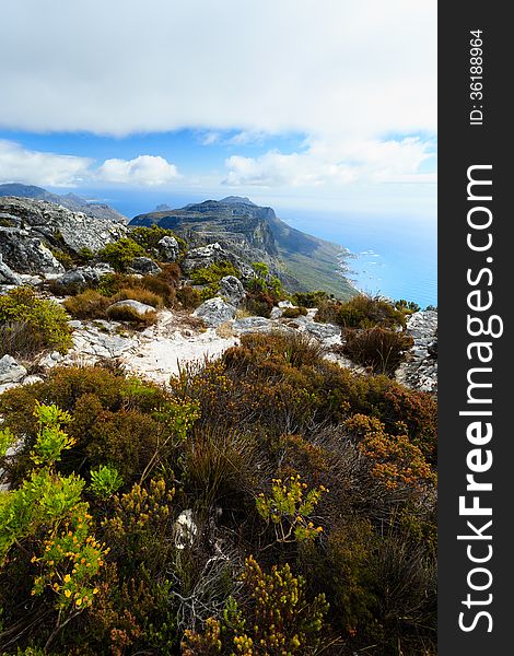 Rock And Landscape On Top Of Table Mountain