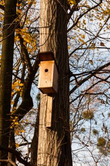 Wooden Bird House On A Tree Royalty Free Stock Photos Wooden Bird House On A Tree Royalty Free Stock Photos