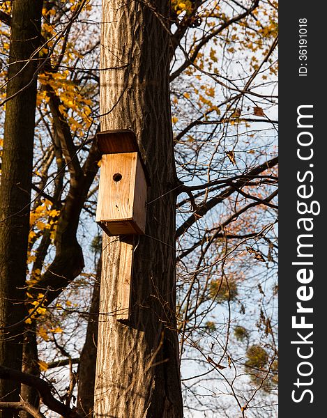 Small wooden bird house on the tree, between yellow leaves and branches. Small wooden bird house on the tree, between yellow leaves and branches