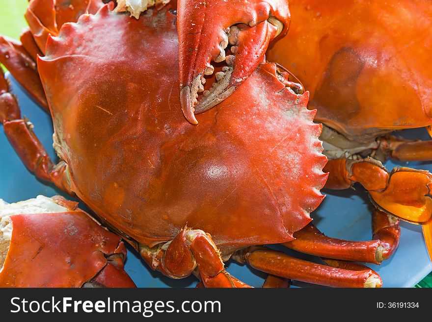 Close up of steamed serrated mud crab or mangrove crab (Scylla serrata). Close up of steamed serrated mud crab or mangrove crab (Scylla serrata)