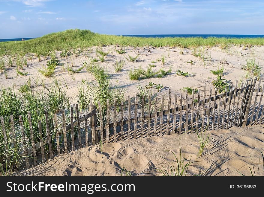 A fence along the sand dunes at Nobska Beach on Cape Cod in Massachusetts. A fence along the sand dunes at Nobska Beach on Cape Cod in Massachusetts.