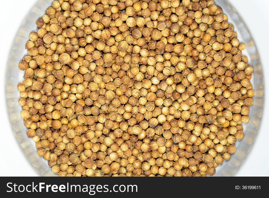 White bowl of brown coriander seeds. White bowl of brown coriander seeds