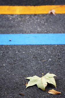 Autumn Royalty Free Stock Photos Autumn Royalty Free Stock Photos
