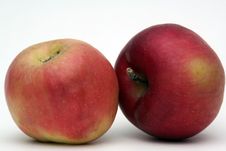Apple Fruit-piece Stock Image