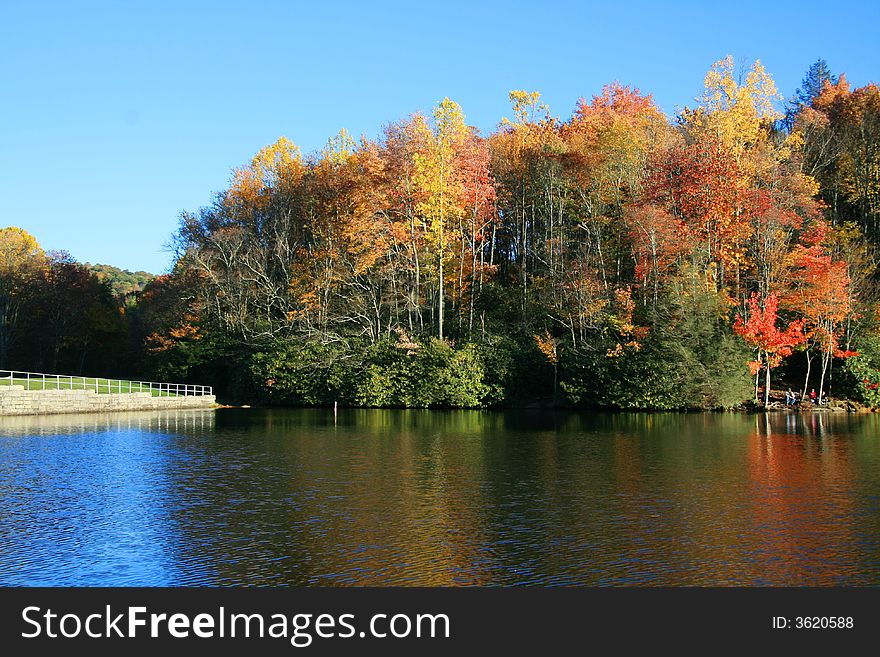 Fall lake with tree reflection