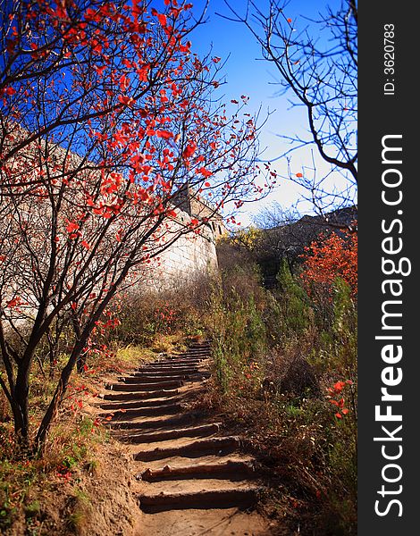 The relic of the Great Wall, the scaled path leading to it, and the red autumn trees, construct a beautiful seasonal senery.