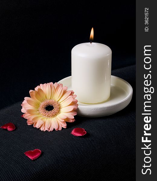 Candle, gerber and red hearts