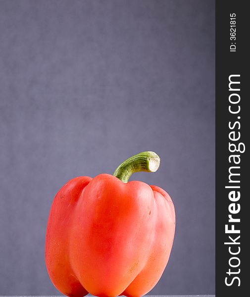 Red sweet pepper on grey background