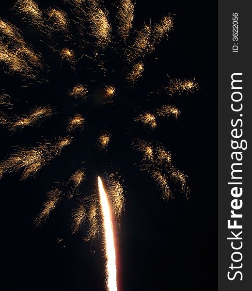 Beautiful fireworks with a crisp black background.