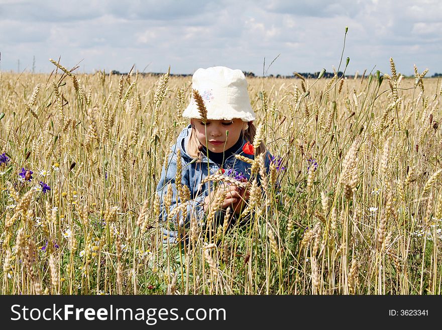 A girl holding red poppy flower,squatting in the wheat field