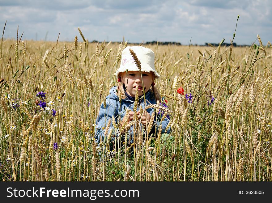 In The Wheat Field