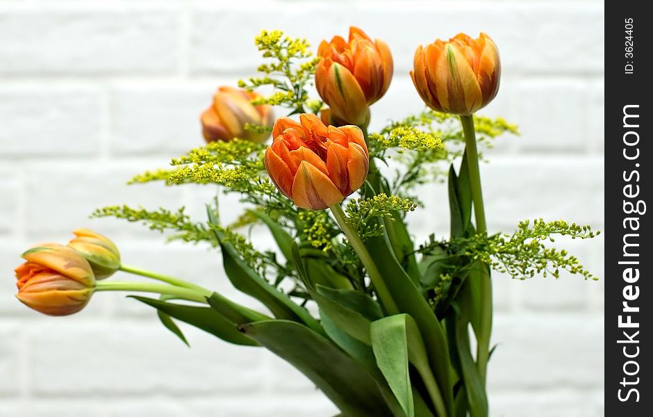 Bouquet of orange tulips on a background of a white wall.