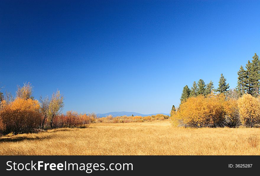 Autumn Meadow At Taylor Creek in Lake Tahoe Area. Autumn Meadow At Taylor Creek in Lake Tahoe Area