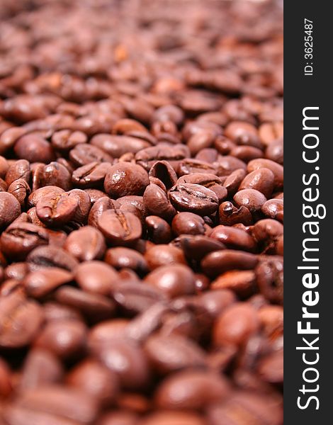 Ready for use Coffee grains background. Ready for use Coffee grains background