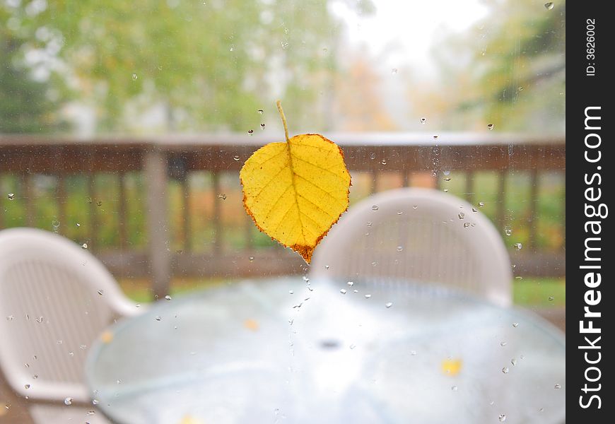 Good bye summer! Leaf on the window and white summer furniture on the deck