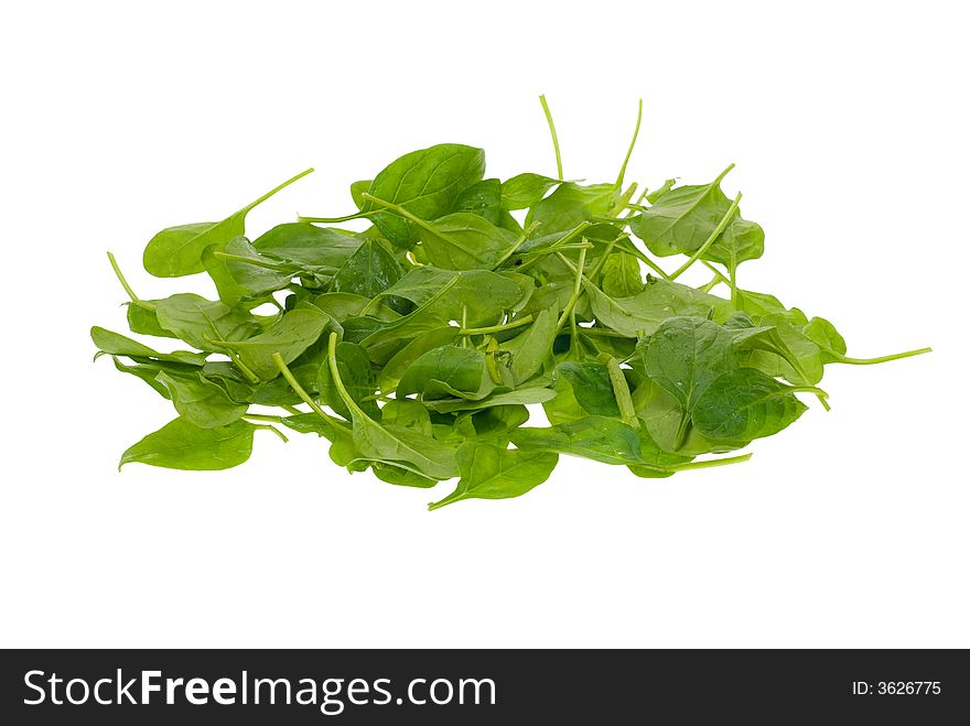 Fresh spinach leaves isolated on a white background