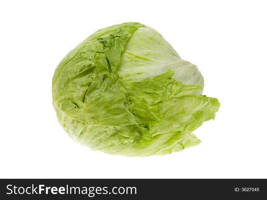 Fresh lettuce