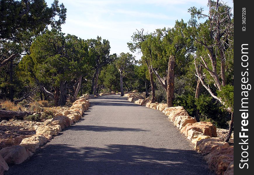 Walking path with Juniper trees at the Grand Canyon