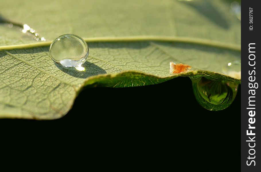 Two Water Drops