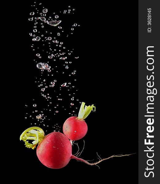 Radish on black background with bubbly