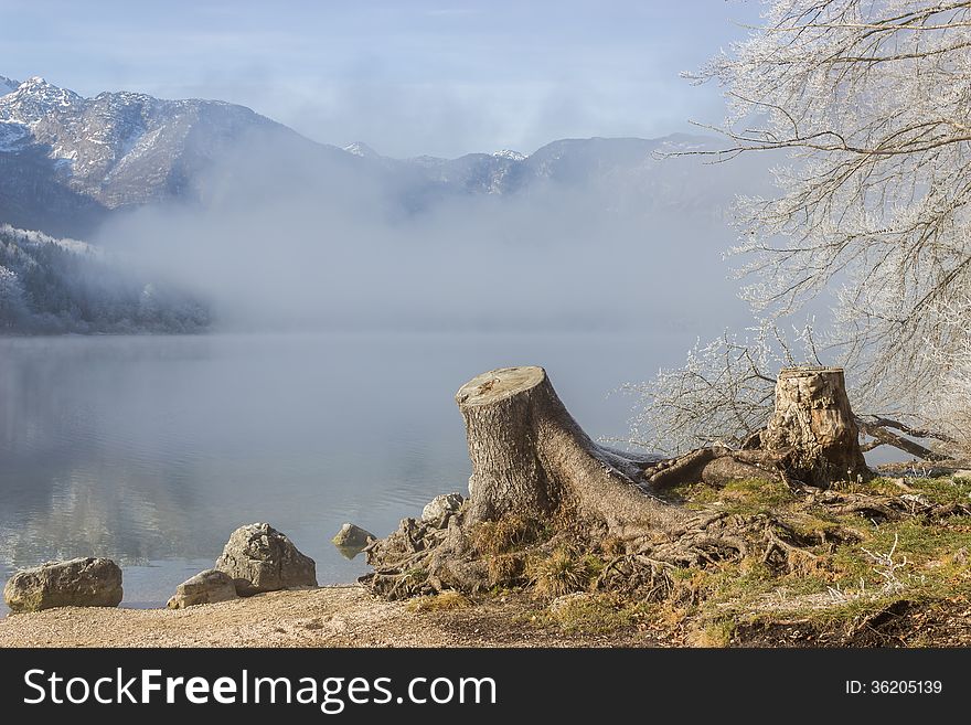 Bohinj lake of slovenia, europe