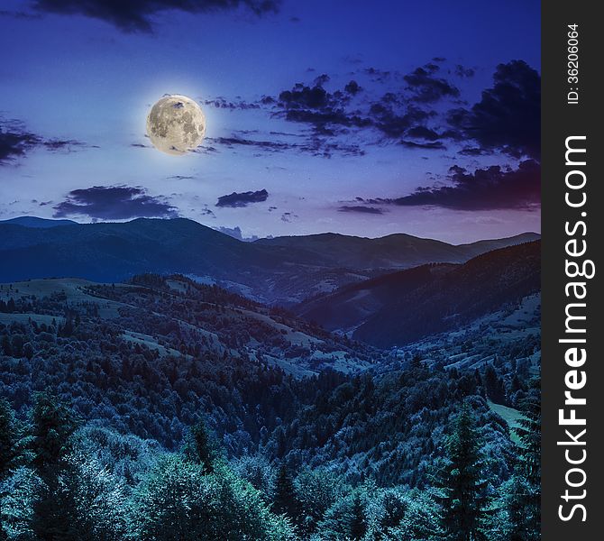 Coniferous Forest On A Mountain Slope At Night