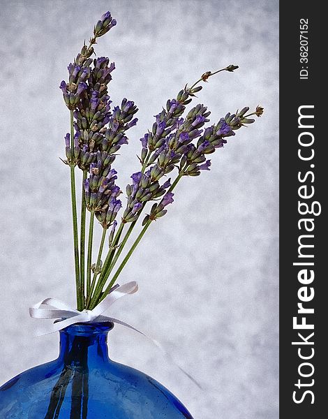 Dried lavender arranged in a blue glass bottle with a soft textured background. Dried lavender arranged in a blue glass bottle with a soft textured background.