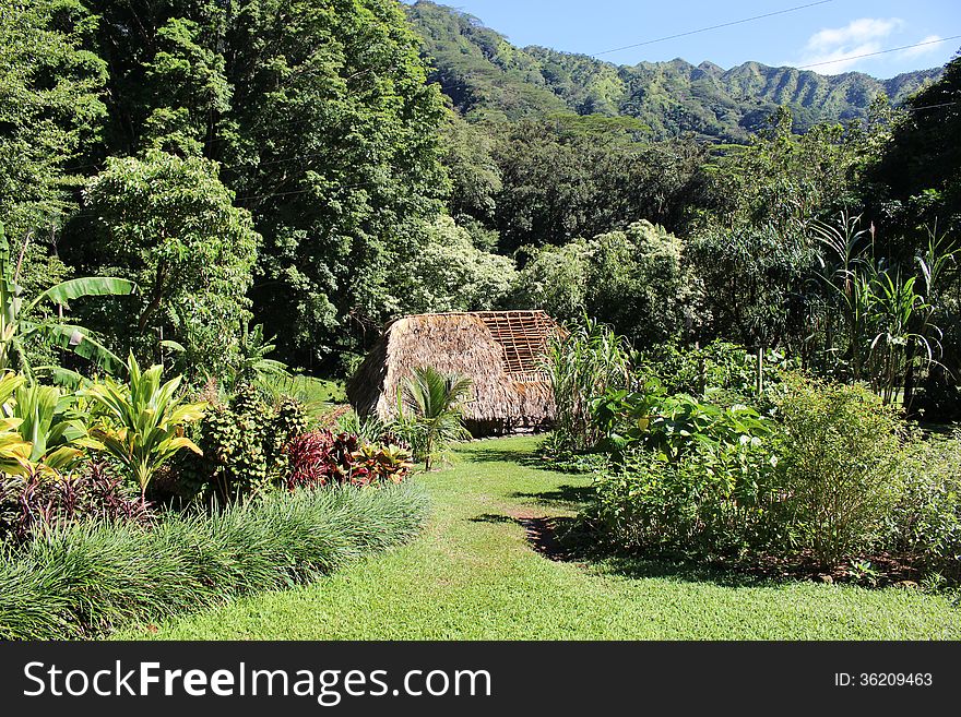 Newly build Bungalow in rain forest