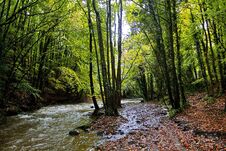 Autumn Trees Along The River Alyn, Rhydymwyn Stock Photos