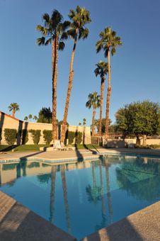 Palm Trees By A Calm Pool Royalty Free Stock Photo Palm Trees By A Calm Pool Royalty Free Stock Photo
