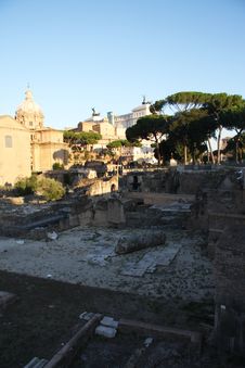 Roman Forum In The Morning Royalty Free Stock Image