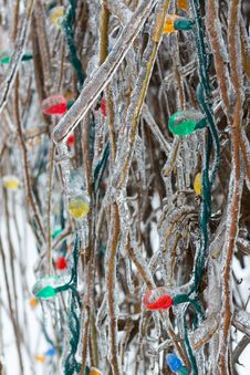 Outdoors Christmas Tree Frozen In Crude Winter Royalty Free Stock Photos Outdoors Christmas Tree Frozen In Crude Winter Royalty Free Stock Photos