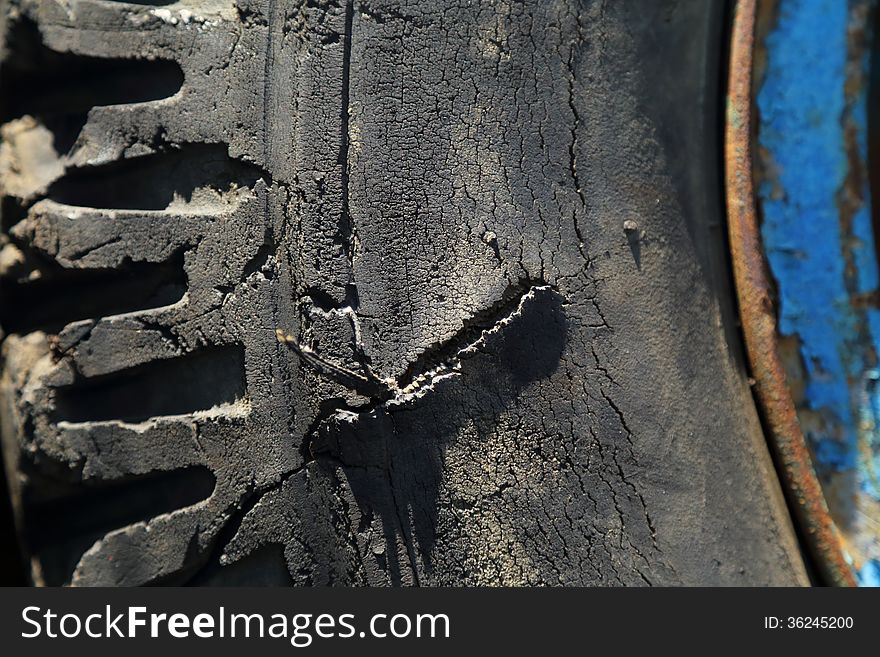 Detail of a old tire